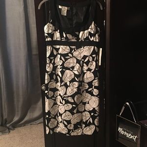 Evan-Picone Dress Petite 6P sleeveless, lined